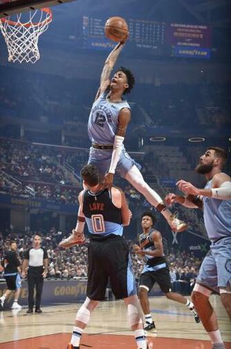 Best Grizz Image In Memphis Grizzlies
