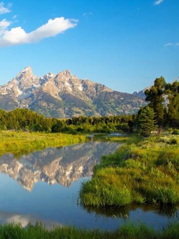 Morning Scenery Mobile Wallpaper Mobiles Wall