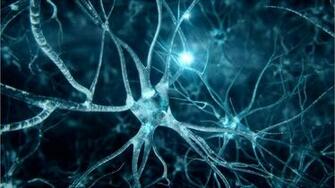 Cognition And Movement Claassen Lab Vanderbilt Health