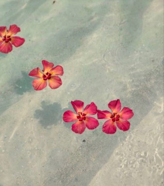 Jenreneelynn On Aesthetic Wallpaper