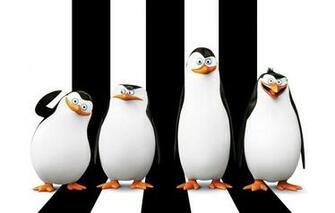 Wallpaper Cartoon Rico Skipper Kowalski Classified Corporal