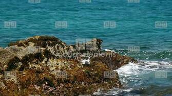 Sea Landscape With Cliffs And Ocean Stock Video Footage Royalty