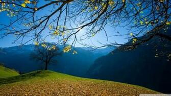 Autumn Switzerland Schachental Wallpaper Image