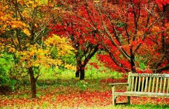 November Desktop Background