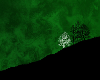 Black And Neon Green Background Widescreen HD Wallpaper Amagico