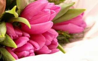 Beautiful Flowers