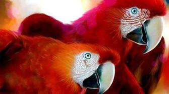 Home Fine Art HD Wallpaper