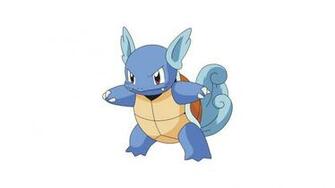 Wartortle Full HD Pictures
