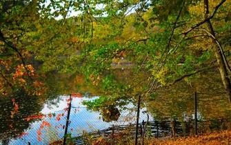 Full Size Nature HD Wallpaper