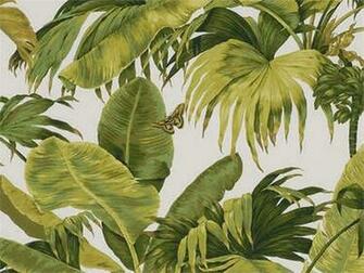 Ponti Claire On Tropical