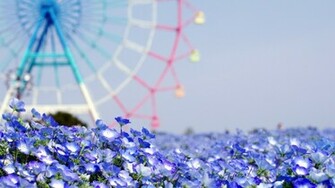 Summer Wallpaper High Definition Quality