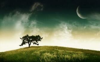 Tree And Moon Great Desktop Background High Quality
