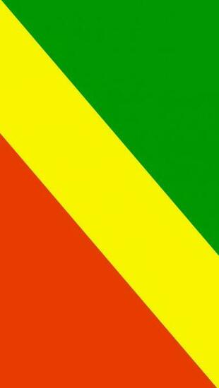 Republic Of The Congo Flag iPhone Wallpaper HD