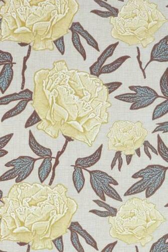 Jocelyn Warner Dandy Wallpaper