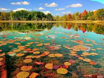 Pretty Nature Background