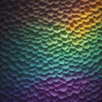 Premium Photo Wallpaper
