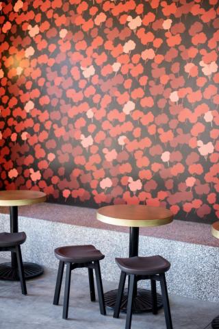 Poppies And Poursteady At Intelligentsia S New Hollywood Bardaily