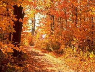Beautiful Autumn Season Wallpaper All HD