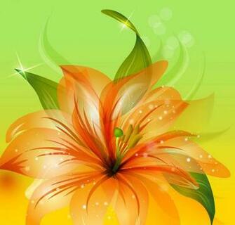 Orange Flower Background