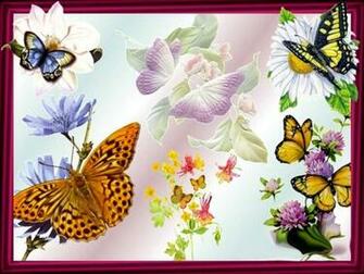HD Wallpaper Best Butterflies And Flowers