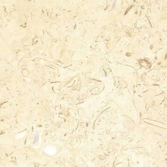 Neutral Colors Background Wallpaper