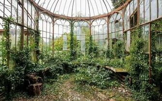Nature Plants Greenhouse Wallpaper HD Desktop And Mobile