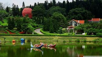English Garden Wallpaper Yuntai