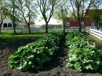 HD Wallpaper Steinbach Mennonite Heritage Village Gardening