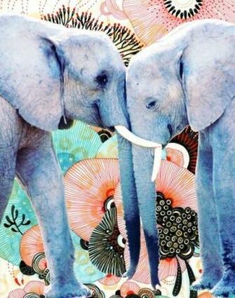Cute Elephant Pictures Image Becuo