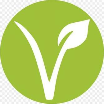Vegetarian Cuisine Desktop Wallpaper Veggie Burger Vegitarian
