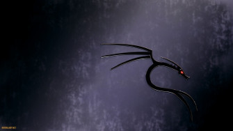 Kali Linux Wallpaper 4k
