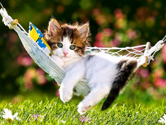 Beautiful Cute Background Desktop Wallpaper