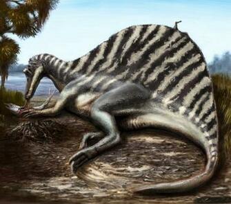 Spinosaurus Wallpaper