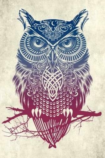 Best Collection Of iPhone Wallpaper Owl