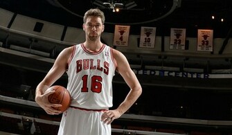 Pau Gasol Bulls Wallpaper