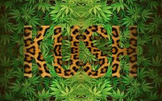 Leopard Kush Wallpaper Friendly