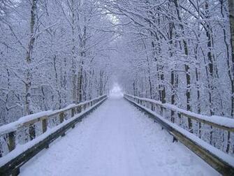 Winter Wonderland Wallpaper