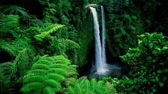 Best Green Wallpaper Sf