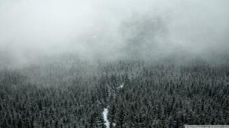 Mist 4k HD Desktop Wallpaper For Ultra Tv Wide
