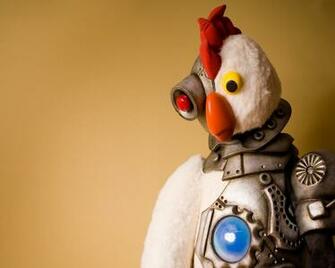 Funny Chicken Wallpaper On