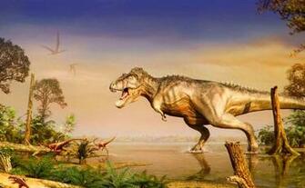 HD Dinosaur Wallpaper Pictures For Desktop Walls
