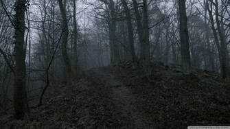 Dark Forest Wallpaper Decorating Nature They Are