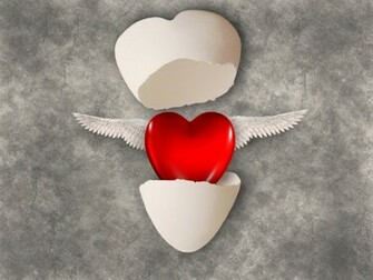 New Love Wallpaper A Born