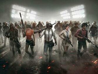 Pubg Playerunknown S Battlegrounds Video Game Characters
