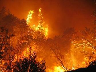 Wallpaper Photo For The Wildland Firefighter