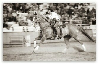 Barrel Racer HD Wallpaper For Standard Fullscreen Uxga Xga