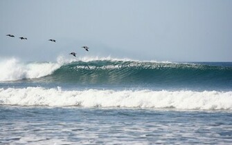 Click Here For Innocent Surf School HD Wallpaper