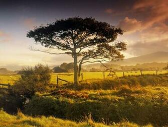 Scenic Near Harlech North Wales Great Britain Wallpaper