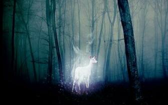Best Patronus Wallpaper Harry