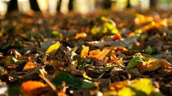 Fall Desktop Wallpaper Widescreen HD